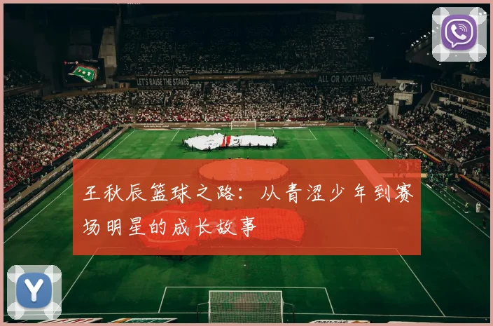 王秋辰篮球之路：从青涩少年到赛场明星的成长故事
