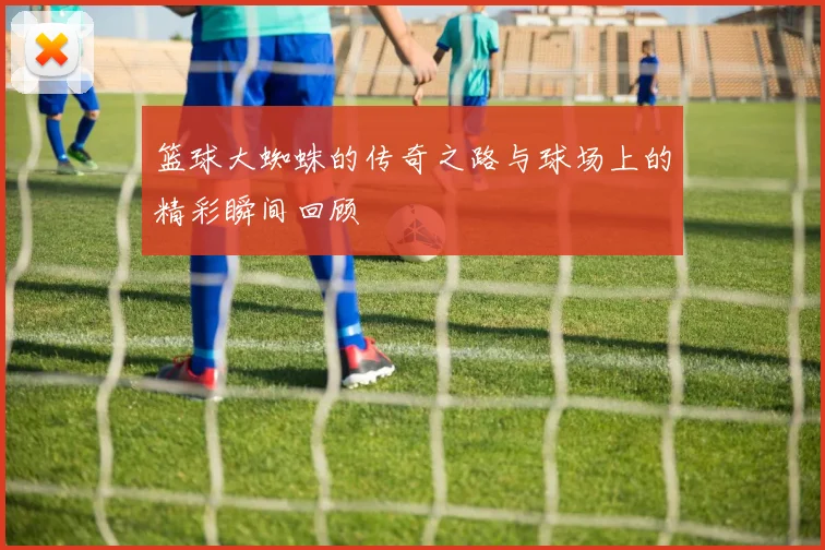 篮球大蜘蛛的传奇之路与球场上的精彩瞬间回顾