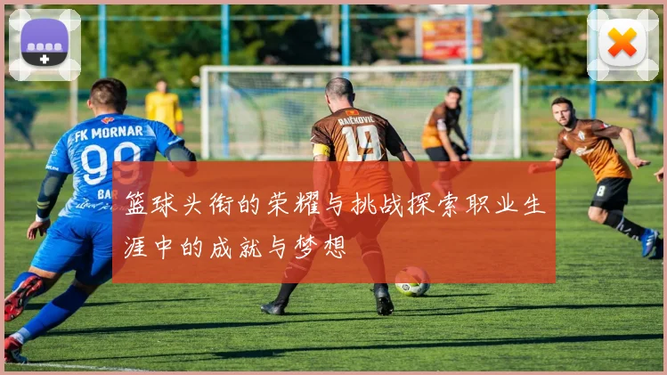 篮球头衔的荣耀与挑战探索职业生涯中的成就与梦想