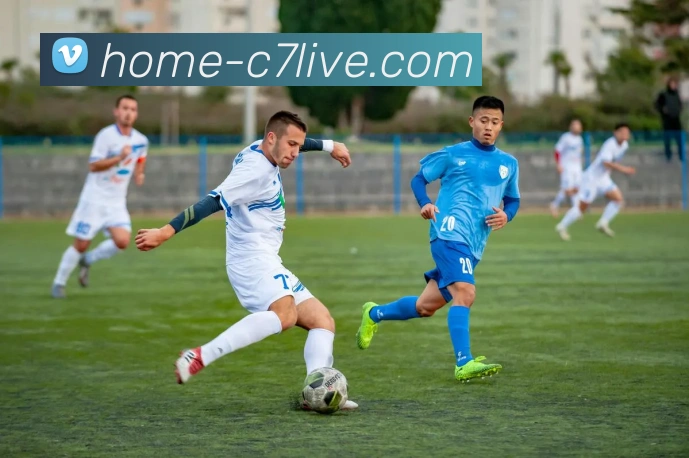 C7娱乐平台生态图